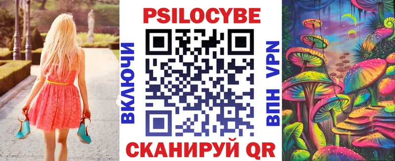 Галлюциногенные грибы Psilocybe  где купить наркоту  Мещовск 